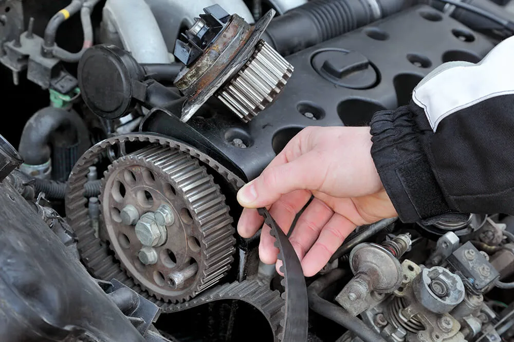 European Engine Repair: Timing Belt vs. Timing Chain